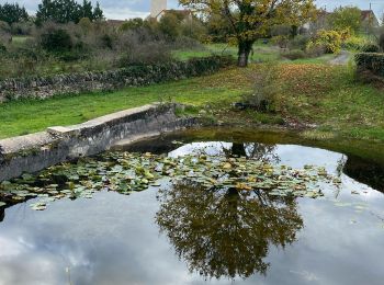 Trail Walking Lentillac-du-Causse - Lentillac Orniac  - Photo