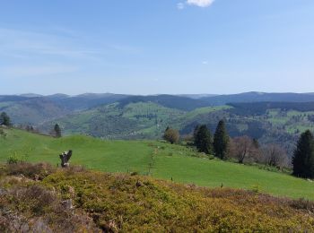 Randonnée Marche Cornimont - Croix des Moinats - Photo