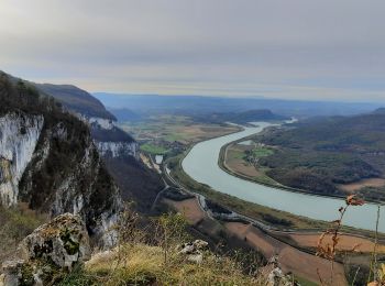 Excursión Senderismo Saint-Genix-les-Villages - Mont Tournier - Photo