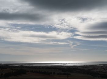 Tour Mountainbike Frontignan - pioch de la barre - Photo