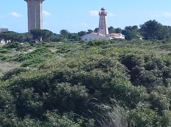 Tour Wandern Leucate - phare de Leucate à la Franquin  - Photo