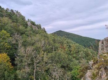 Tour Wandern Dambach - Les rochers du Dachfirst - Photo