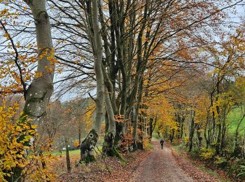 Tocht Stappen Waimes - 2023-11-10_22h16m17_t119964214_sur les versants de la warchenne w10.gpx.xml - Photo