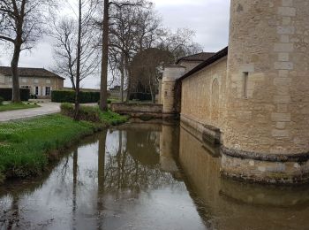 Trail Walking Margaux-Cantenac - Margaux - Photo