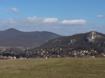 Tour Zu Fuß Paumasch - Erdőszéli ösvény (Csobánka, Margitliget - Csobánkai-nyereg - Csobánkai templomok) - Photo