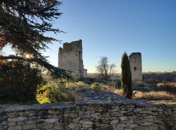 Excursión Senderismo Saint-Martin-le-Vieil - le sentier de St Martin  - Photo