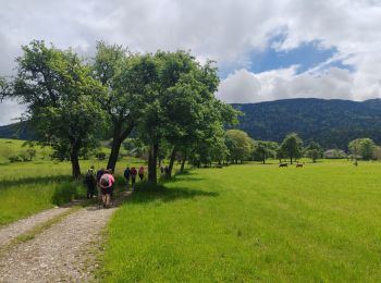 Randonnée Marche Sevrier - Annecy jour 5 - Photo