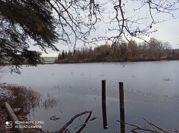 Trail Walking Amont-et-Effreney - 5-12-20 Effreney - Photo