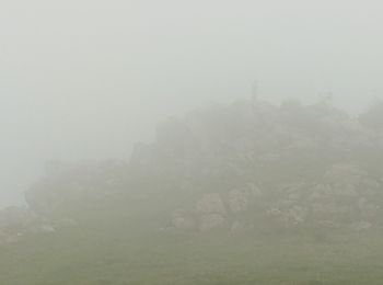 Trail Walking Saint-Jean-Pied-de-Port - Compostelle - Camino Frances - J1 : de St Jean Pied de Port à la Vierge d'Orisson - Photo