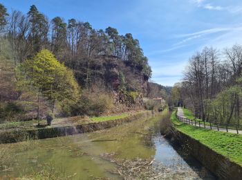 Tocht Stappen Lutzelbourg - Sentier des Roches et vallée des éclusiers - Photo