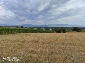 Randonnée Marche Heimsbrunn - heimsbrunn - Photo