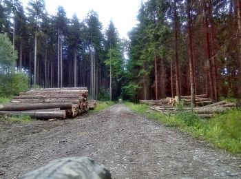 Excursión A pie Nový Jičín - Naučná stezka Františka Palackého - Photo