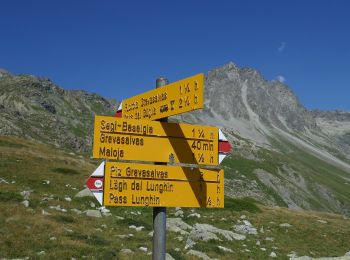 Tour Zu Fuß Surses - Julier, La Veduta-Furcia Grevasalvas-Plaun da Lej - Photo