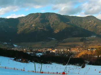 Tocht Te voet Gemeinde Spital am Semmering - Wanderweg 13 - Photo