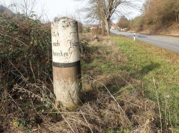 Randonnée A pied  - Wanderweg Erfenach 4, Rund um den Maienberg - Photo