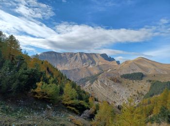 Trail Walking Gap - GAP . Col de Gleize , ronde de Chaudun  o - Photo