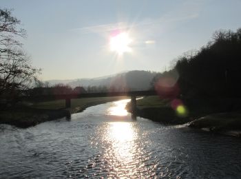 Tocht Te voet Loffenau - Loffenau - Hörden - Photo