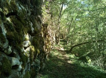 Tocht Stappen Capoulet-et-Junac - Le Vicdessos par Illié - Photo