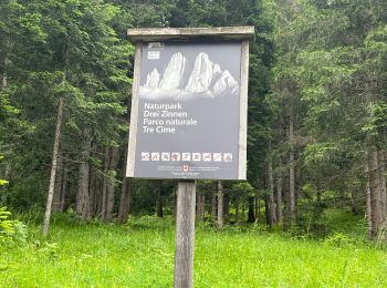 Percorso Marcia San Candido - J1 Refuge Dreischusterhütte - Photo