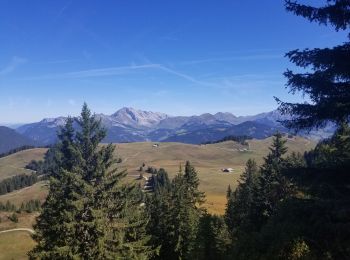 Trail Walking Manigod - plateau de beauregard - Photo