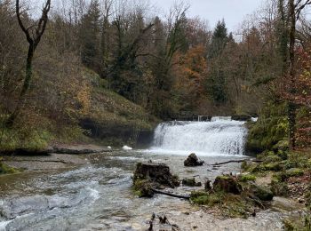 Trail sport Bonlieu - Cascades du hérisson  - Photo