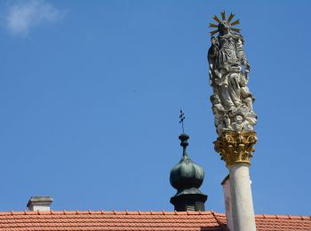 Percorso A piedi Znojmo - [Č] Vranov - Železné schody - Photo