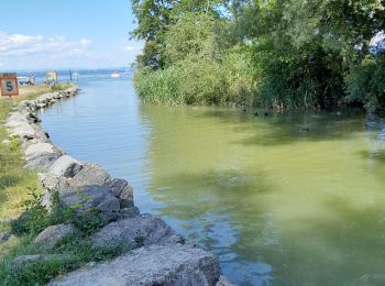 Randonnée Marche Excenevex - Lac Léman - Photo