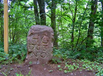 Percorso A piedi Neunkirchen - Schauinslandweg Hangard - Photo