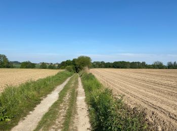 Tour Wandern Enghien - Enghien 16 km - Photo