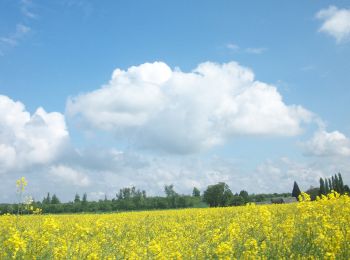 Tour Wandern Charleval - 20230509-Charleval  - Photo