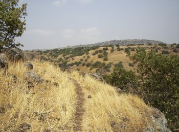 Tour Zu Fuß מועצה אזורית גולן - מפל זוויתן - Photo