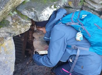 Randonnée Marche Fontainebleau - Rocher Fourceau-Petit Mont Chauvet SR210523Ve?? fmg - Photo