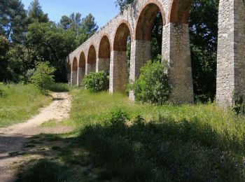 Trail Walking La Penne-sur-Huveaune - la coueste le 23/5/19 - Photo