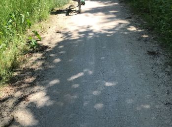 Excursión Bici de montaña Limours - Janvry-Roche Turpin -39.5km-4h - Photo