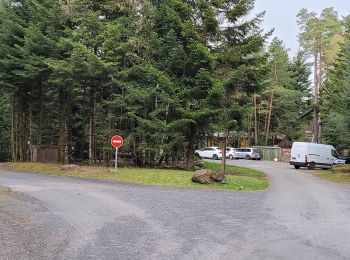 Excursión Senderismo Badonviller - Marche autour du lac de Pierre Percée 2 - Photo