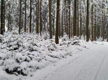 Excursión A pie Pramet - Frankenburger Höhenrundwanderweg - Photo