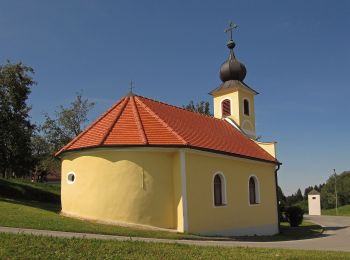 Excursión A pie Gemeinde Schweiggers - Wasser Weg 44 - Photo