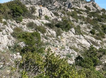 Excursión Senderismo Tautavel - La torre del far Tautavel - Photo