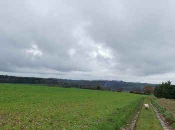 Randonnée Marche Bailly-en-Rivière - Bailly huppy montigny - Photo