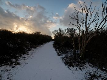 Tour Zu Fuß Texel - De Geul - Photo