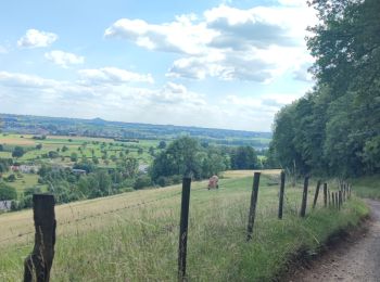 Trail Mountain bike Visé - Entre Belgique et Pays-Bas 🌿 - Photo