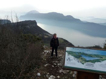 Randonnée Marche Entrelacs - SAPENAY: MONTAGNE DE CESSENS - Photo