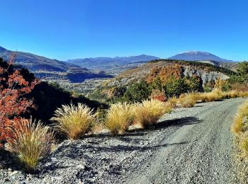 Randonnée Vélo électrique Remollon - VTT-ae - Mont Colombis via Valserres - Croix des prés - Photo