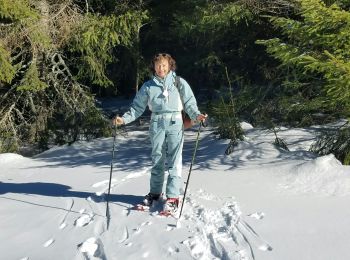 Tocht Sneeuwschoenen La Tour-d'Auvergne - La stele - Photo