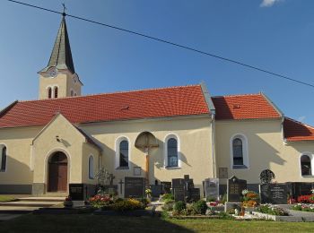 Excursión A pie Gemeinde Zwettl-Niederösterreich - Pyramidenweg 53 - Photo