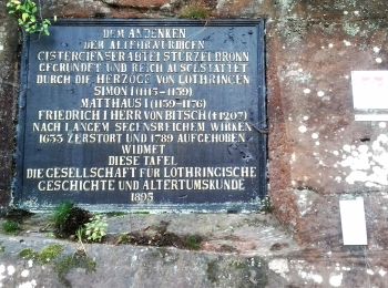 Randonnée A pied Sturzelbronn - Autour des moines de Sturzelbronn - Photo