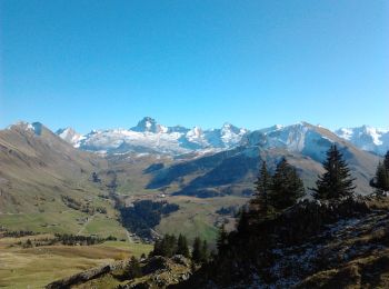 Trail Walking Le Grand-Bornand - BARGY: LESSY A PARTIR DU CHINAILLON - Photo