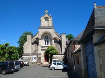 Tocht Stappen Artannes-sur-Indre - Artannes-sur-Indre - Pont-de-Ruan circuit 2 - 15.7km 175m 2h45 - 2017 04 17 - Photo