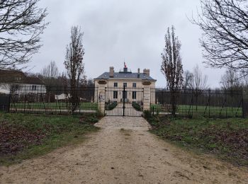 Tour Wandern Saint-Germain-en-Laye - La forêt de St Germain  - Photo