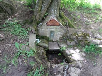 Excursión A pie okres Trenčín - Náučný chodník Janka Miklasa - Photo